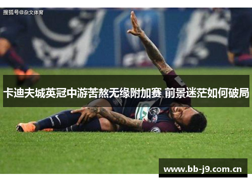 卡迪夫城英冠中游苦熬无缘附加赛 前景迷茫如何破局 卡迪夫城英冠中游苦熬无缘附加赛 前景迷茫如何破局